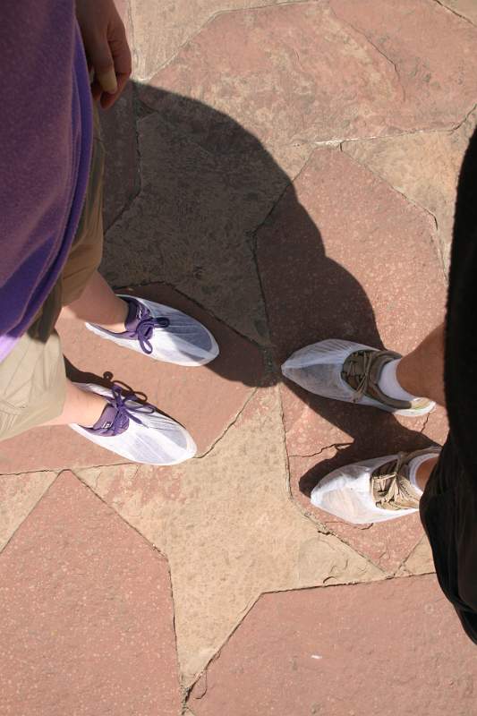 India & Nepal 2011 - 1176